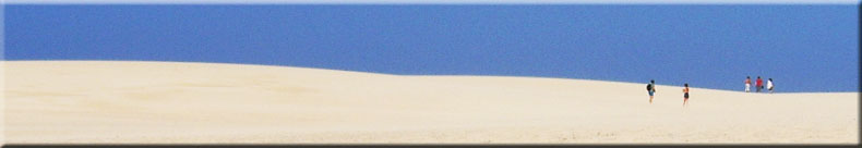 Fuerteventura Dunes